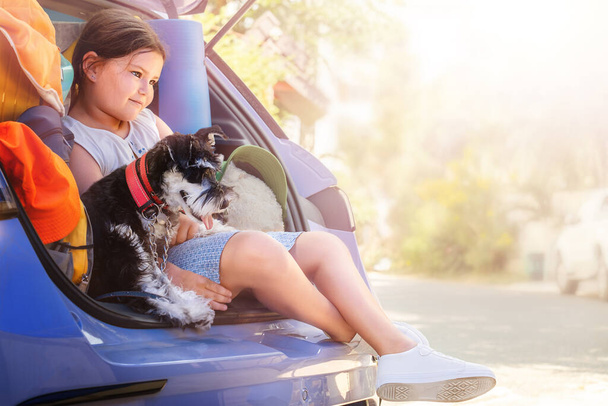 Retrato de uma criança com um cachorro schnauzer no porta-malas de um carro olhando para a distância - Foto, Imagem