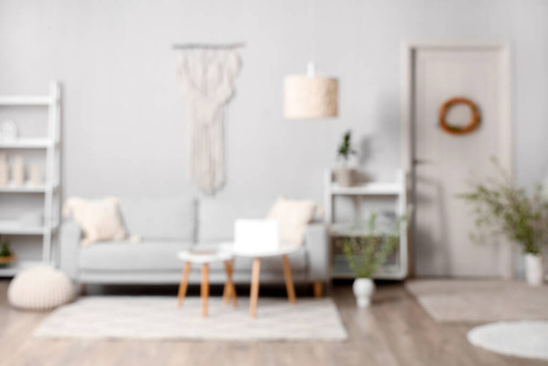 Stylish hall with sofa, coffee table and blooming branches, blurred view - Photo, Image