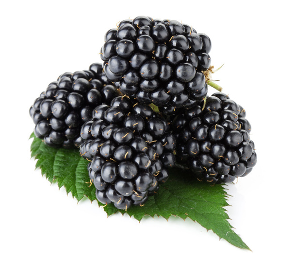 Blackberry стиглі плоди
 - Фото, зображення