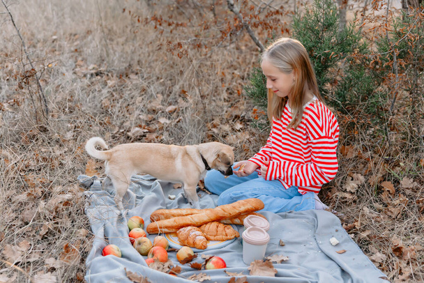 Junges Teenager-Mädchen mit Hund sitzt auf einer Plaid mit Getränken und Bäckerei auf einem Picknick - Foto, Bild