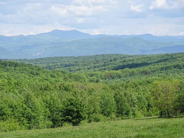 Kevätmaisema Maramuresin läänissä, Romaniassa. Vihreä maisema - Valokuva, kuva