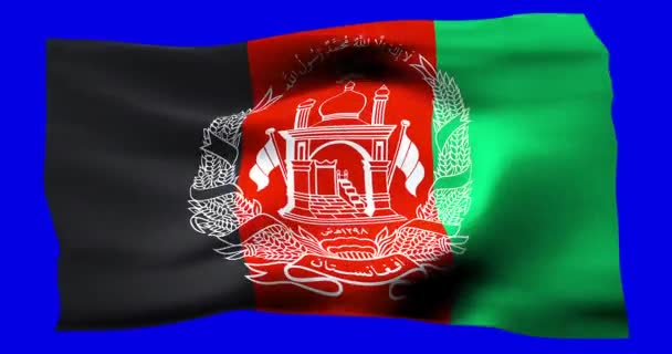 Bandiera sventolante realistica dell'Afghanistan. Illustrazione della trama ondulata del vento. - Filmati, video
