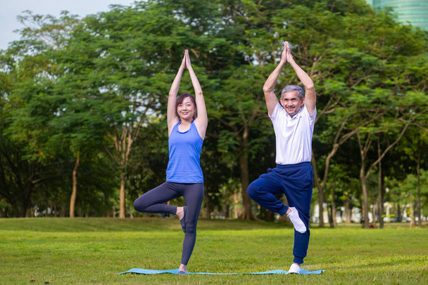 Hombre asiático mayor está practicando yoga de equilibrio en una pierna de pie mientras su hija está apoyando en el parque público para el ejercicio de longevidad mayor y el uso de ejercicio al aire libre - Foto, imagen