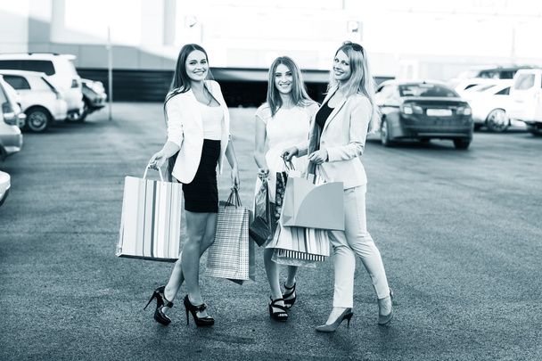 Skupina dívek po nakupování - Fotografie, Obrázek