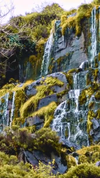 Saftiges Grün umgibt einen ruhigen, kaskadenartigen Wasserfall. Vertikales Video. - Filmmaterial, Video