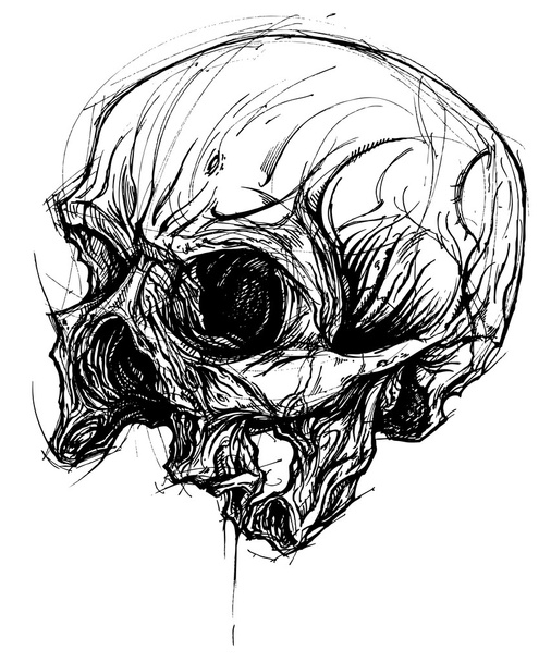 壊れた頭蓋骨図面ライン作業ベクトル - ベクター画像