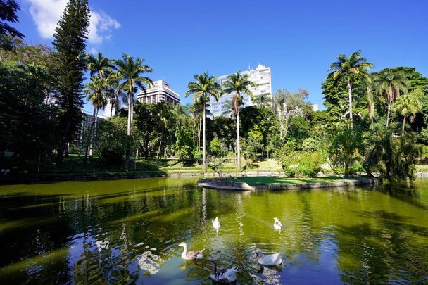 Municipal Parque Americo Renne Giannetti, un parque urbano en Belo Horizonte, Minas Gerais, Brasil - Foto, imagen