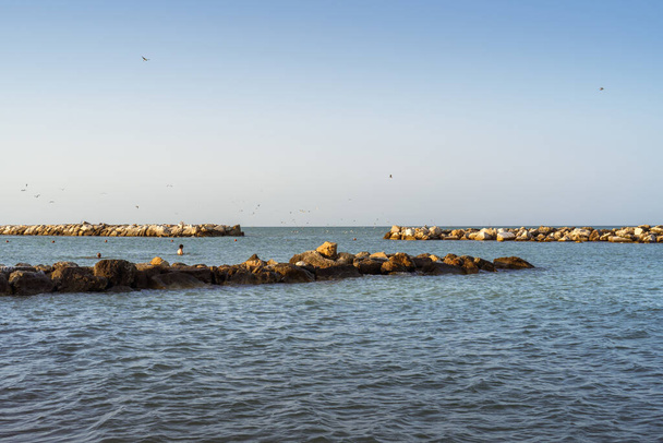 Uma paisagem serena com quebra-mares rochosos e gaivotas no céu claro da manhã, perfeito para temas de tranquilidade, natureza e viagens. Perfeito para a tendência 2024 para olhares calmos - Foto, Imagem