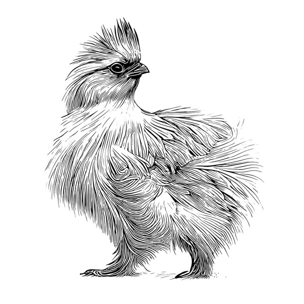 Funny silk hen poussin croquis à la main dessiné dans le style doodle vecteur - Vecteur, image