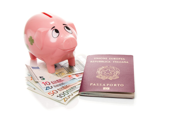 Cerdito de dinero rosa con euro
 - Foto, imagen