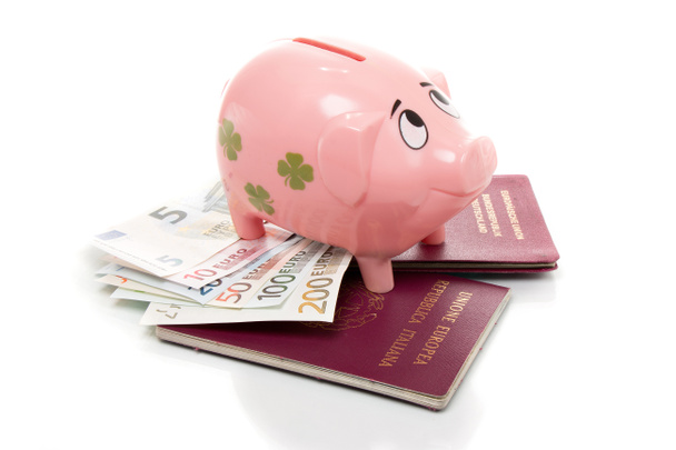 Pink money pigg with Euro - Photo, Image