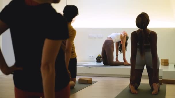Eine Gruppe von Menschen übt in einem Raum Ustrasana oder Kamel-Yoga. Yoga-Kurs. - Filmmaterial, Video