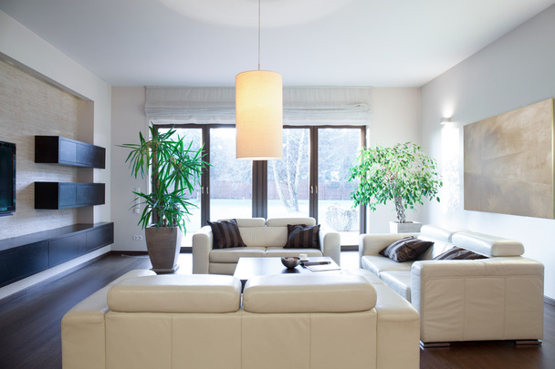 Bright cozy apartment - Foto, Bild