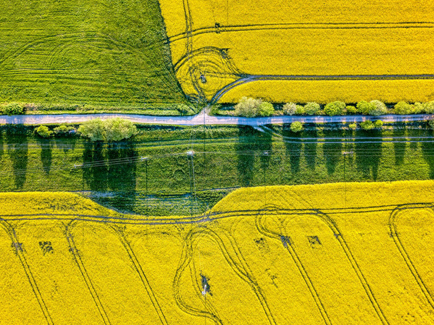 Vista aérea superior de la carretera del país y campo de colza amarilla. Cálido y soleado día de primavera. Campo de canola floreciente. Paisaje vista aérea. Hermoso paisaje de color amarillo con cielo azul. República Checa - Foto, Imagen