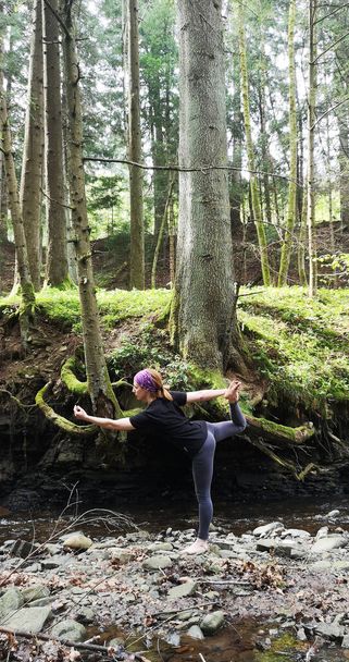 Doğada yoga. Ormanın ortasındaki bir kız kendi için inzivaya çekildi. Doğayla bütünlük içinde bireysel uygulama. Meditasyonda ve Vedik egzersizlerinde solopraktik. Karpatların ormanları, Ukrayna - Fotoğraf, Görsel