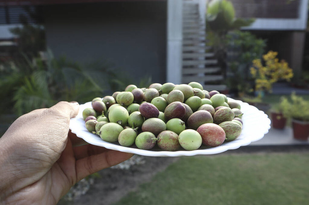 Плоды каронды на фруктах. Бенгальская смородина или карандас-слива, карандас карандас зеленого и красного цвета - Фото, изображение