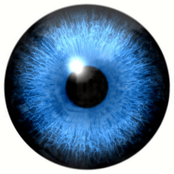 Aquarellfarbe. Illustration der Iris des blauen Auges, Lichtreflexion. - Foto, Bild
