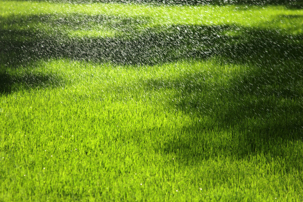 Aspersor regando o gramado
 - Foto, Imagem
