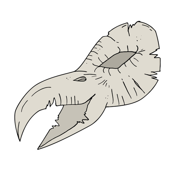 Creative design of bird skull draw - Vector, Image