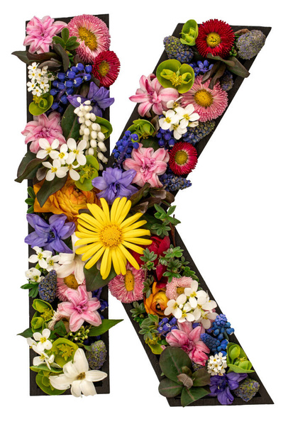 Letter K gemaakt van echte natuurlijke bloemen en bladeren op witte achtergrond geïsoleerd. Bloemenlettertype concept. Unieke verzameling van letters en cijfers. Lente en zomer creatief idee. - Foto, afbeelding