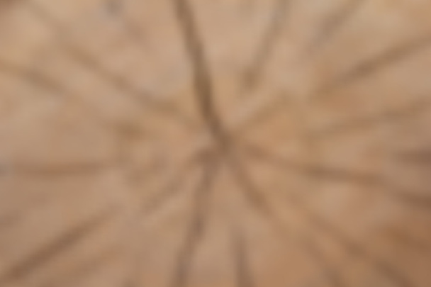 ábra - bukott fatönkön blured háttere - Vektor, kép