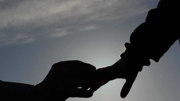 Силуэт мужской руки надевает кольцо на женский палец замедленное движение с мерцанием солнца
 - Кадры, видео