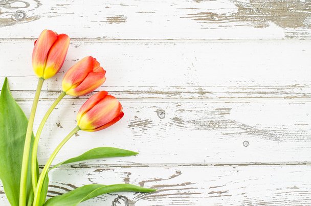 Empty wooden background with colorful flowers - Fotografie, Obrázek