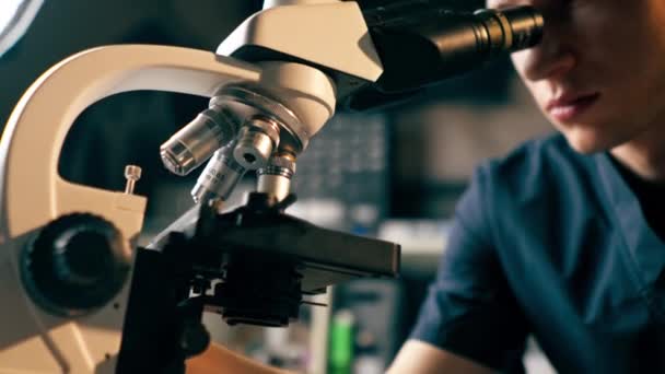 σε κτηνιατρική κλινική, ο κτηνίατρος ελέγχει και προσαρμόζει το μικροσκόπιο - Πλάνα, βίντεο