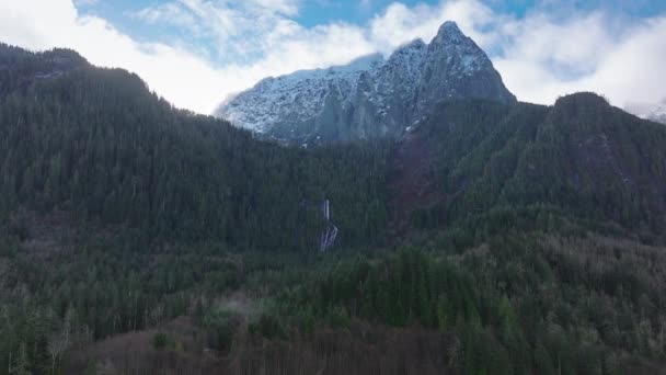 Washington 'da sis ve yemyeşil ormanlarla çevrili engebeli bir dağın çarpıcı hava manzarası. 4K görüntü.  - Video, Çekim