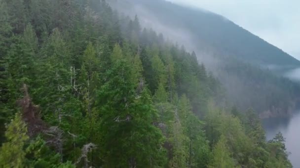 Sabahın erken saatlerinde, Washington 'da sık bir orman ve sakin bir göl etrafında dönen sis, sakin bir kaçış için mükemmel mistik ve tenha bir atmosfer yaratır. 4K görüntü.  - Video, Çekim