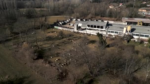 Luftaufnahme einer Schafherde neben einem Bauernhof - 4K Horizontalvideo - Filmmaterial, Video