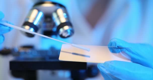 A tudós üvegmikroszkóppal elemzi a kenet mintáját. Pamuttörlő mikrobákat és vírusokat behelyező tudós vegyész - Felvétel, videó