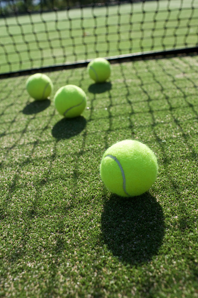 palline da tennis sul campo da tennis in erba
 - Foto, immagini
