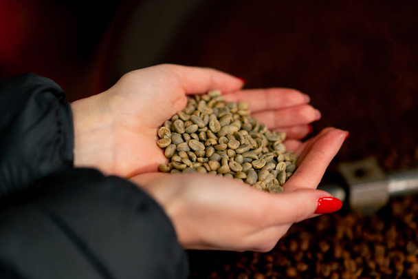 Close-up of a girl holding freshly green coffee in her hands at a roasting factory - Photo, Image