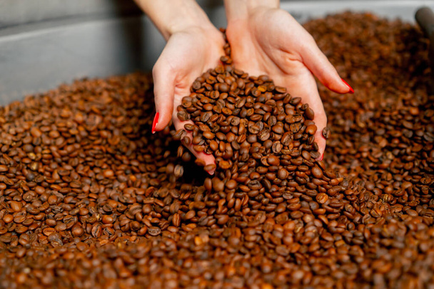Kızartma fabrikasında elinde taze kavrulmuş kahve tutan bir kızın yakın çekimi. - Fotoğraf, Görsel