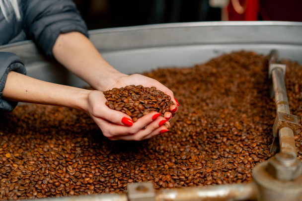 Крупный план девушки, держащей в руках свежеобжаренный кофе на обжаривающем заводе - Фото, изображение