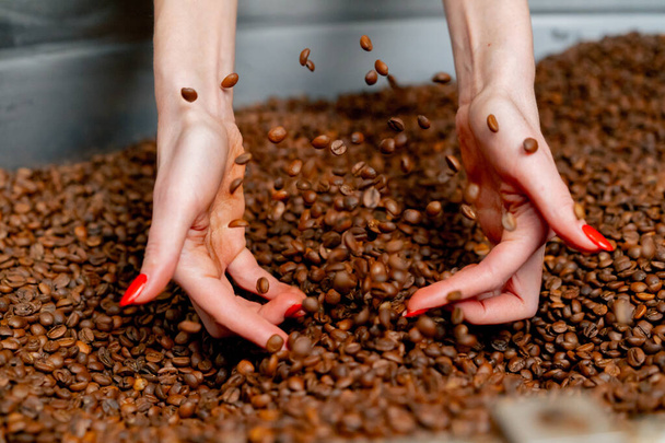 Close-up van een meisje met vers gebrande koffie in haar handen in een roosterfabriek - Foto, afbeelding