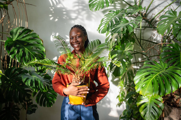 Happy African American woman plant lover holding houseplant Cycas in yellow pot smiling looks at camera in sunny day. Portrait of joyful successful black female owner of flower shop holding houseplant - Photo, Image