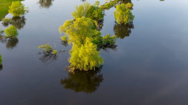 Nehir bankadan taştı. Nevezis, Kedainiai Bölgesi - Fotoğraf, Görsel