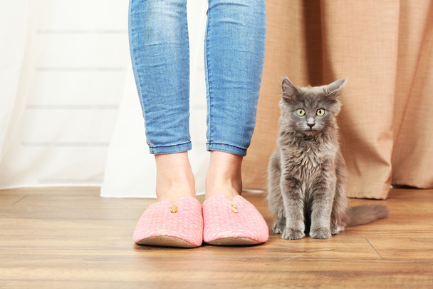 Cute gray kitten with owner on floor at home  - Valokuva, kuva