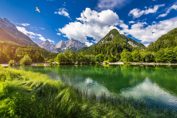 Güzel dağları olan Jasna Gölü. Triglav Ulusal Parkı 'ndaki doğa manzarası. Yeri, Triglav Ulusal Parkı. Kranjska Gora, Slovenya, Avrupa. Slovenya Krajsnka Gora 'da Jasna Dağı.  - Fotoğraf, Görsel