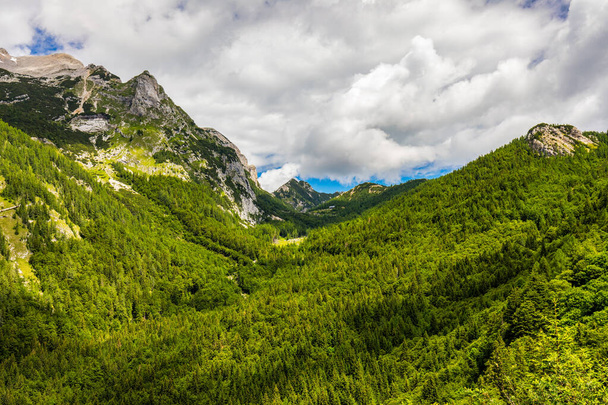 Valley in the Triglav National Park, Julian Alps, Slovenia. Julian Alps mountains, Slovenia, Europe. - Photo, Image
