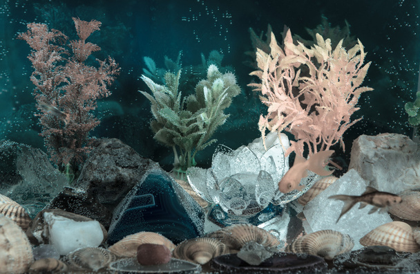 Aquarium - Фото, зображення