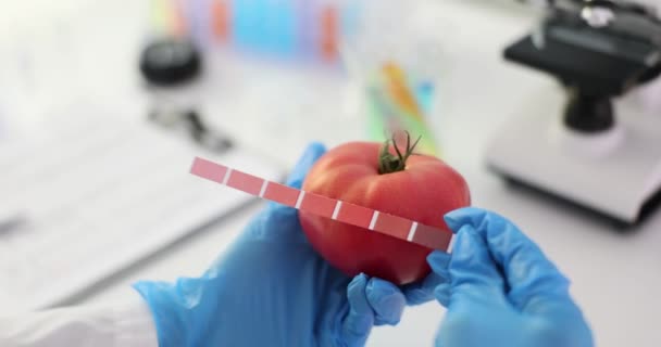 Mit einem Kolorimeter wird die Farbe einer Tomate im Labor gemessen. Qualität der Tomatenfrüchte - Filmmaterial, Video