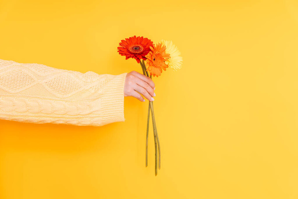 Una mano extendida sosteniendo flores sobre un fondo amarillo. - Foto, imagen