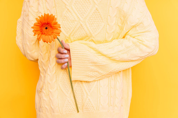 Girl holding a beautiful flower behind her back against a yellow background. - Photo, Image