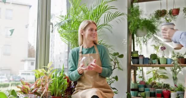 Két pozitív női alkalmazott mosolyog, egymásra néznek, a növényről beszélgetnek a fűben, kávét isznak a szünetben a növényboltban hangulatos belső térben. Kisvállalkozás-tulajdonos gondoskodik a virágzó beltéri növények - Felvétel, videó
