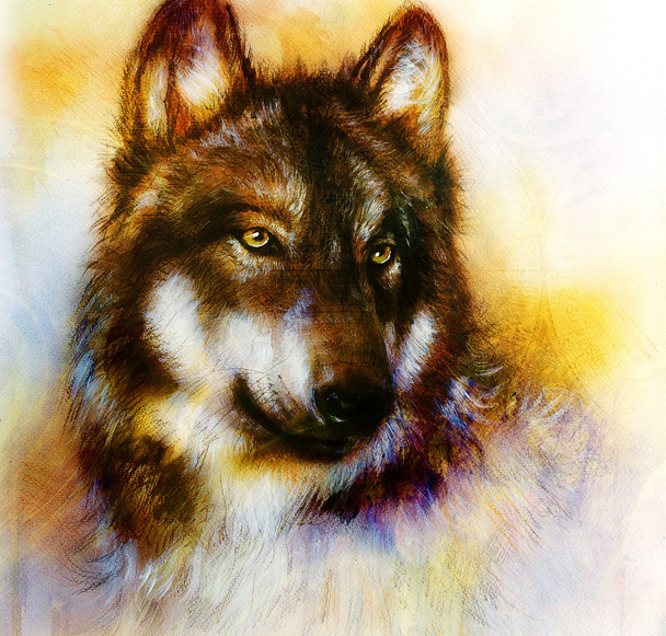 Wolf painting, color  background on paper , multicolor illustration. - Photo, Image