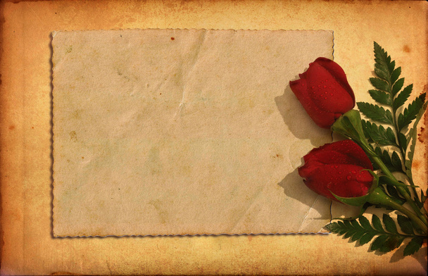ρομαντικό εκλεκτής ποιότητας χαρτί με τριαντάφυλλα και πλαίσιο - Φωτογραφία, εικόνα