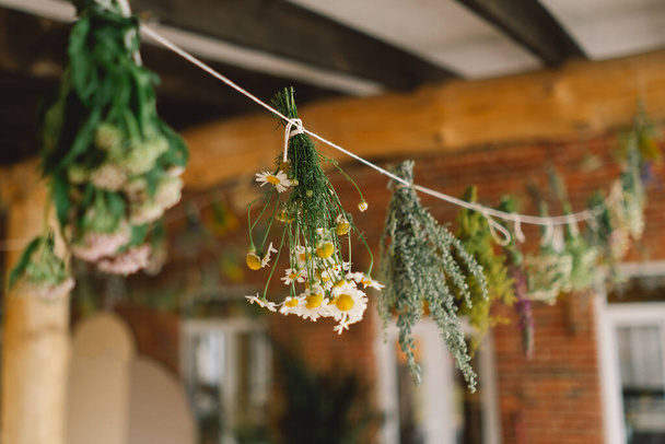 Bunches of herbs and flowers are suspended from a string, drying naturally in an indoor space with rustic charm. - Photo, Image